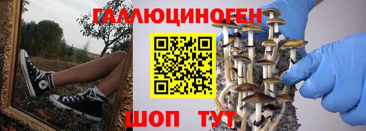 Псилоцибиновые грибы прущие грибы Кинешма