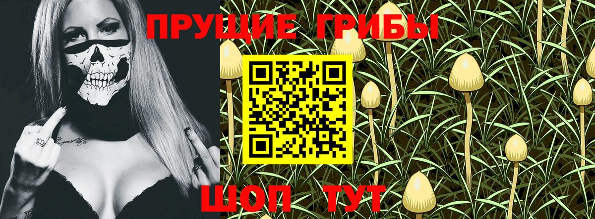 Галлюциногенные грибы MAGIC MUSHROOMS  Вход с VPN  Кинешма 